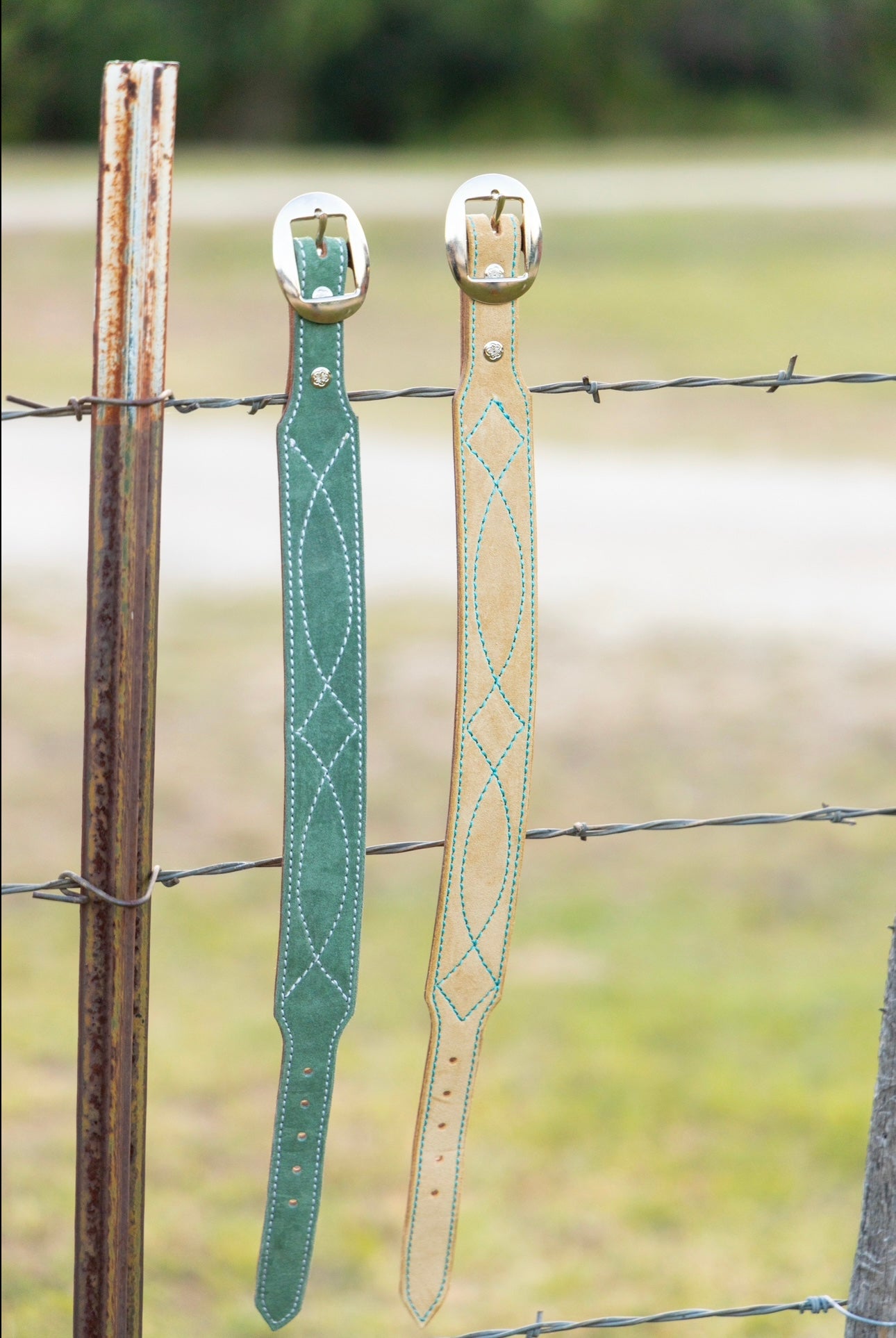 CUSTOM CANINE COLLAR STARTING AT $35.00