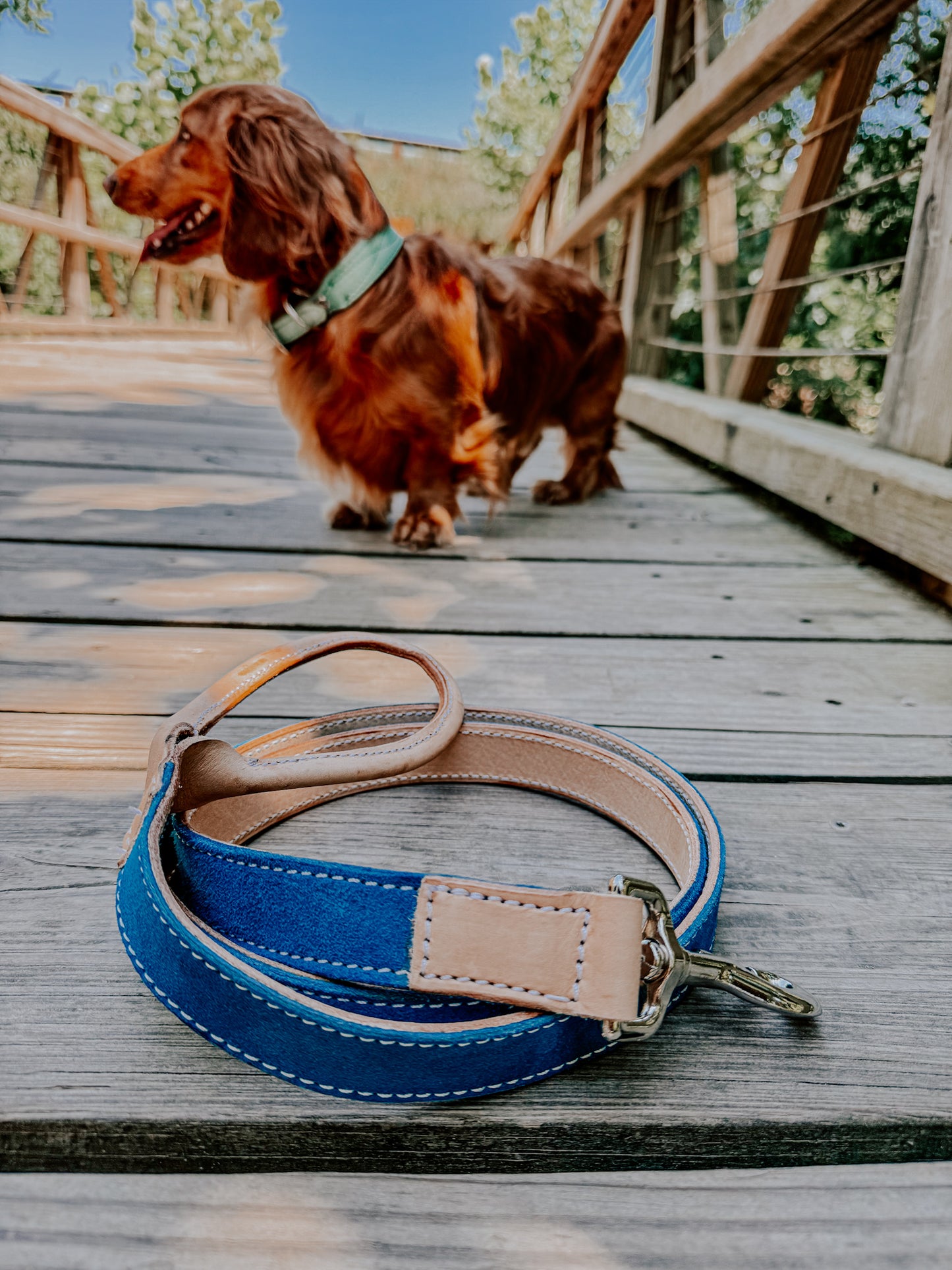 CUSTOM CANINE LEASH STARTING AT $35.00