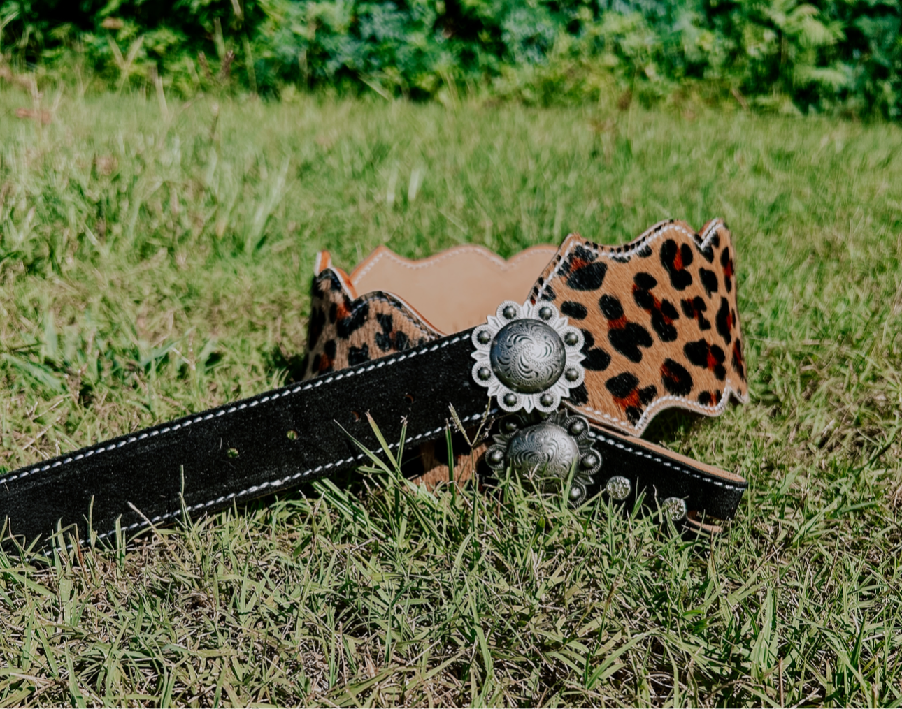 The Outlaw Belt - Black W/ Cheetah