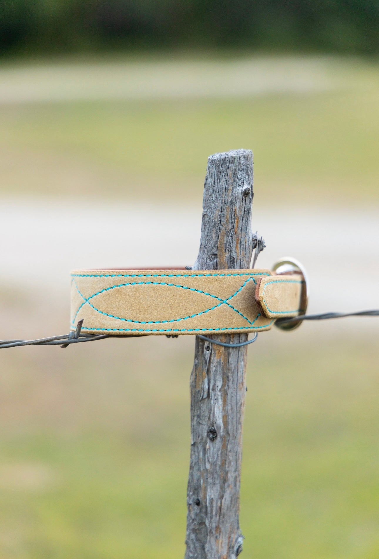 CUSTOM CANINE COLLAR STARTING AT $35.00