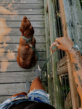 CUSTOM CANINE LEASH STARTING AT $35.00
