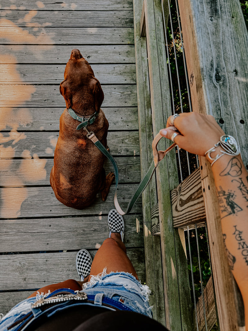 CUSTOM CANINE LEASH STARTING AT $35.00