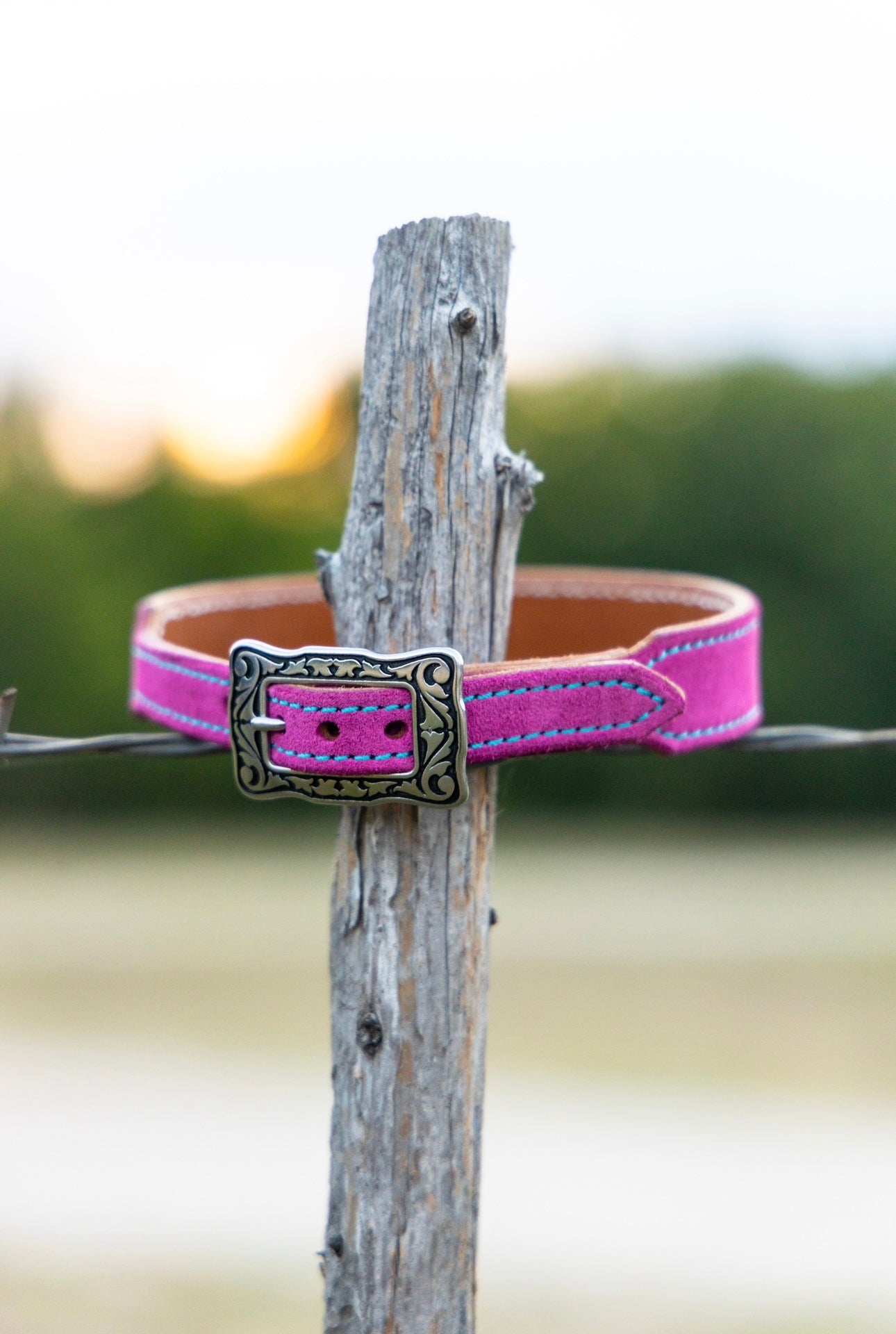 CUSTOM CANINE COLLAR STARTING AT $35.00