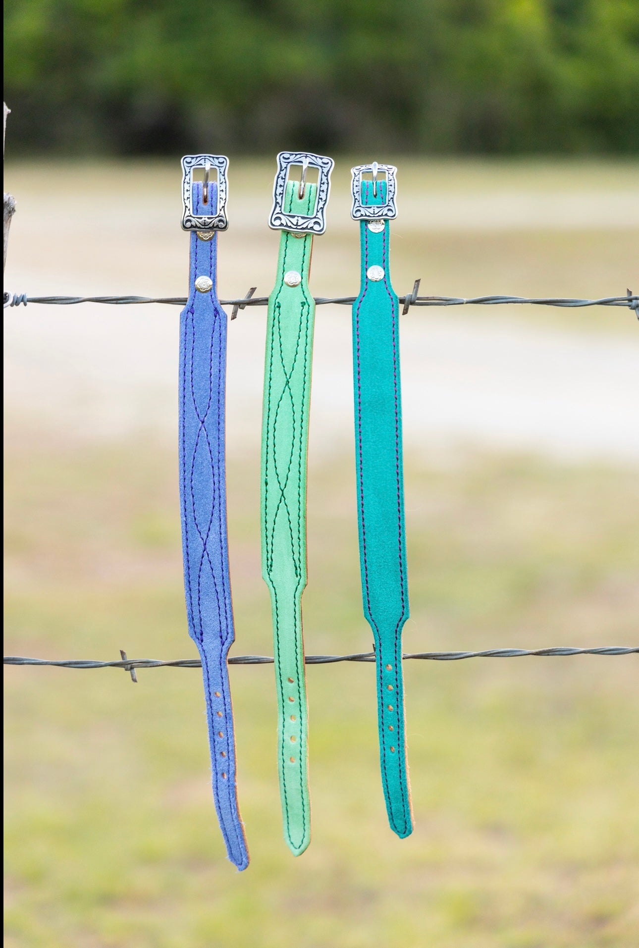 CUSTOM CANINE COLLAR STARTING AT $35.00