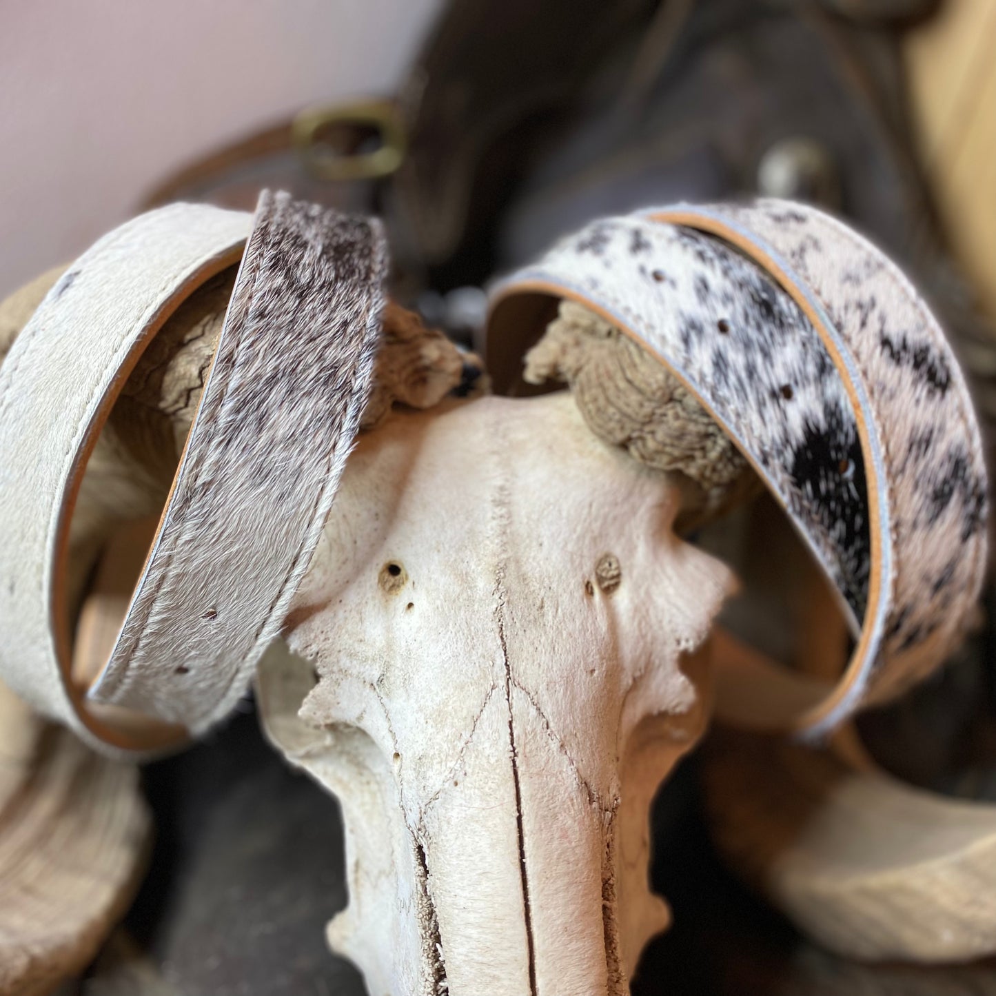 BLACK AND WHITE SPECKLED HAIR ON COWHIDE BELT